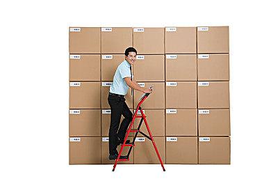 体育运动合集《34项世界体育大赛》6月28日登陆多平台